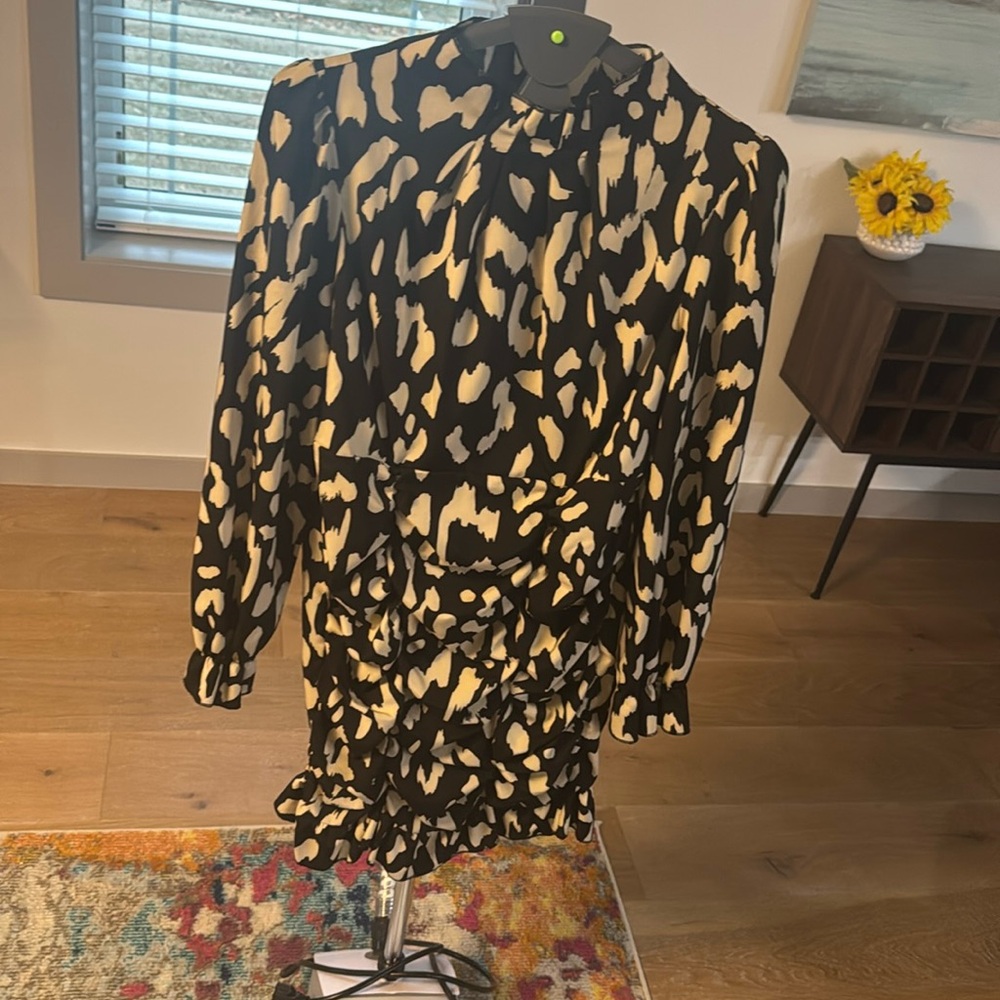 Ruched Long Sleeve Dress